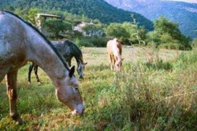 Can Pei Oix Bagian luar foto