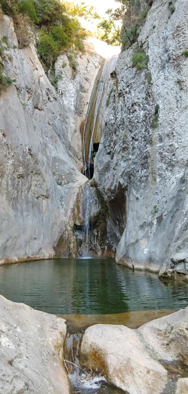 Can Pei Oix Bagian luar foto